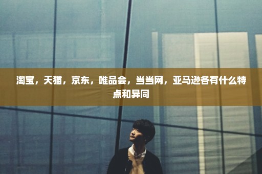 淘宝，天猫，京东，唯品会，当当网，亚马逊各有什么特点和异同