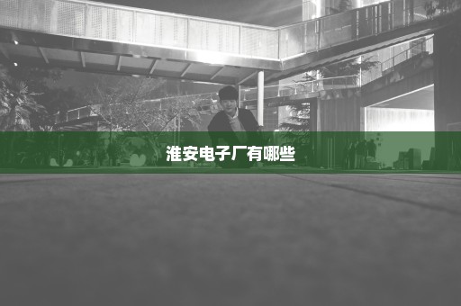 淮安电子厂有哪些
