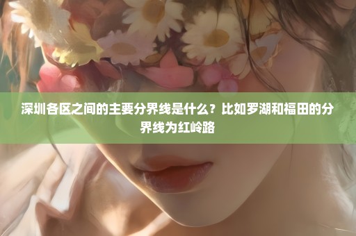 深圳各区之间的主要分界线是什么？比如罗湖和福田的分界线为红岭路
