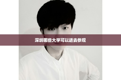 深圳哪些大学可以进去参观