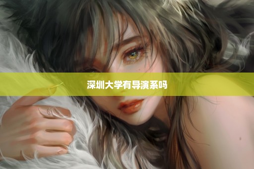 深圳大学有导演系吗