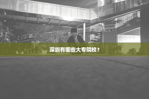 深圳有哪些大专院校？