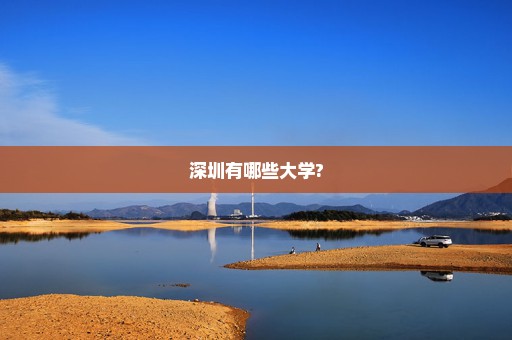 深圳有哪些大学?