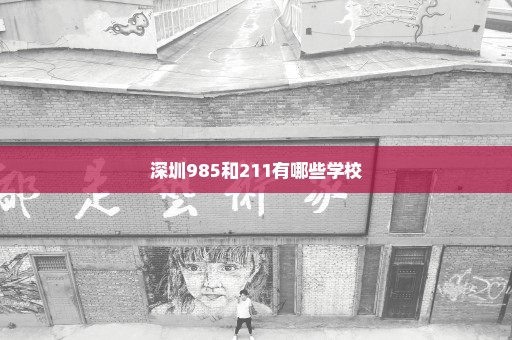 深圳985和211有哪些学校