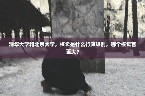 清华大学和北京大学，校长是什么行政级别，哪个校长官更大？