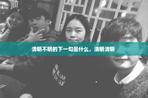 清明不明的下一句是什么，清明清明 