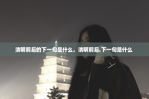 清明前后的下一句是什么，清明前后,下一句是什么 