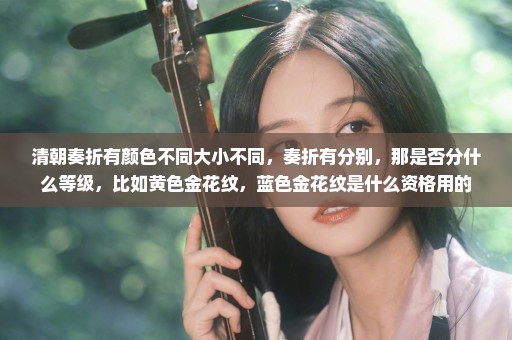 清朝奏折有颜色不同大小不同，奏折有分别，那是否分什么等级，比如黄色金花纹，蓝色金花纹是什么资格用的