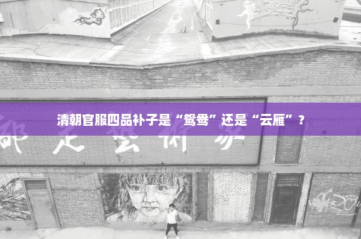 清朝官服四品补子是“鸳鸯”还是“云雁”？