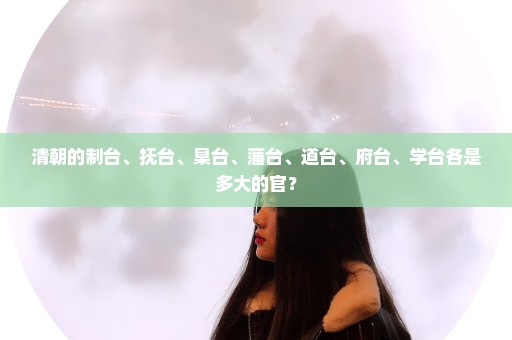 清朝的制台、抚台、臬台、藩台、道台、府台、学台各是多大的官？
