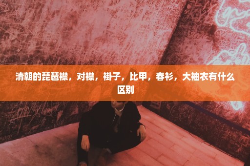 清朝的琵琶襟，对襟，褂子，比甲，春衫，大袖衣有什么区别
