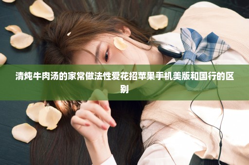 清炖牛肉汤的家常做法性爱花招苹果手机美版和国行的区别