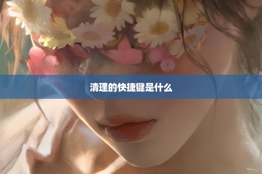 清理的快捷键是什么