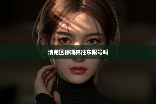 清苑区穆斯林往东限号吗