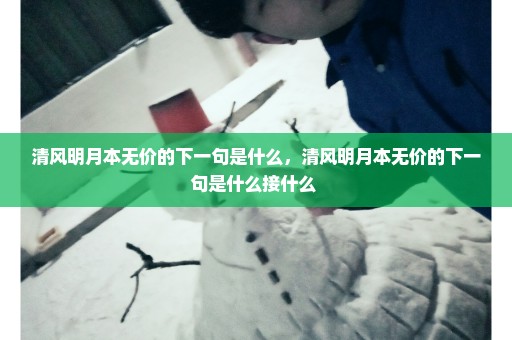 清风明月本无价的下一句是什么，清风明月本无价的下一句是什么接什么 