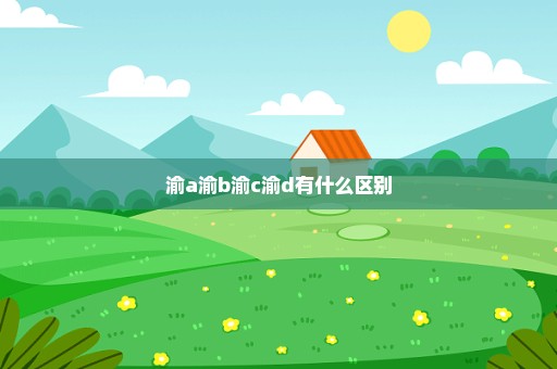 渝a渝b渝c渝d有什么区别