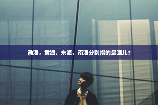渤海，黄海，东海，南海分别指的是哪儿？