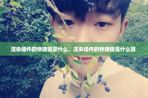 渲染插件的快捷键是什么，渲染插件的快捷键是什么键 