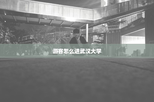 游客怎么进武汉大学