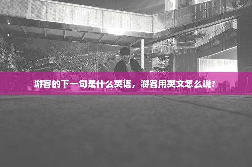 游客的下一句是什么英语，游客用英文怎么说? 
