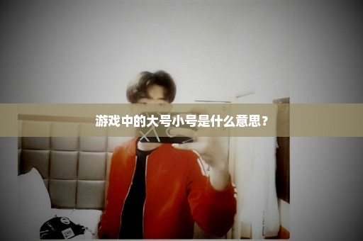 游戏中的大号小号是什么意思？