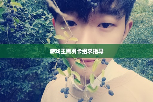 游戏王黑羽卡组求指导