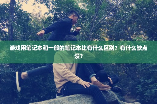 游戏用笔记本和一般的笔记本比有什么区别？有什么缺点没？