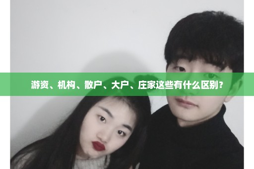 游资、机构、散户、大户、庄家这些有什么区别？