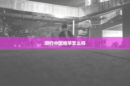 游钓中国炮竿怎么样
