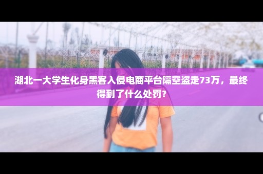 湖北一大学生化身黑客入侵电商平台隔空盗走73万，最终得到了什么处罚？