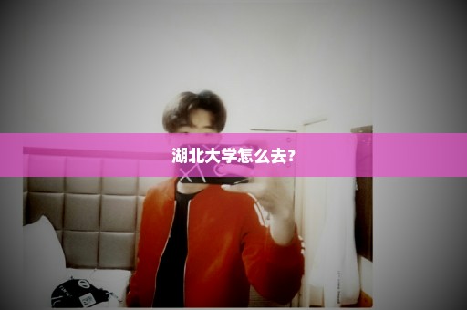 湖北大学怎么去？