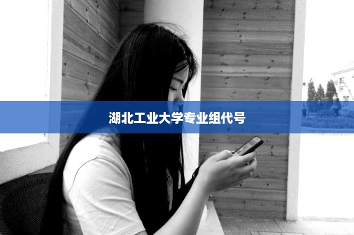湖北工业大学专业组代号