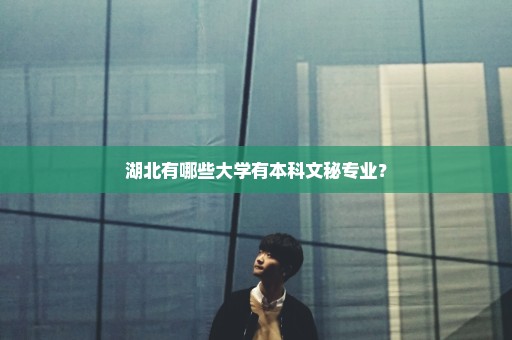 湖北有哪些大学有本科文秘专业？