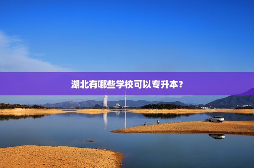 湖北有哪些学校可以专升本？