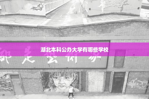 湖北本科公办大学有哪些学校