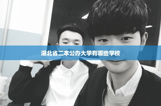湖北省二本公办大学有哪些学校