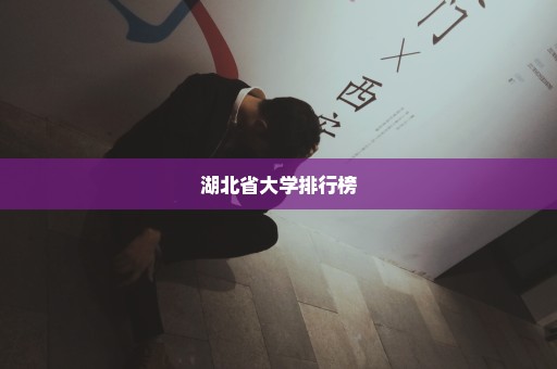 湖北省大学排行榜