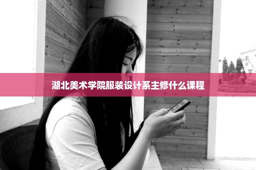 湖北美术学院服装设计系主修什么课程