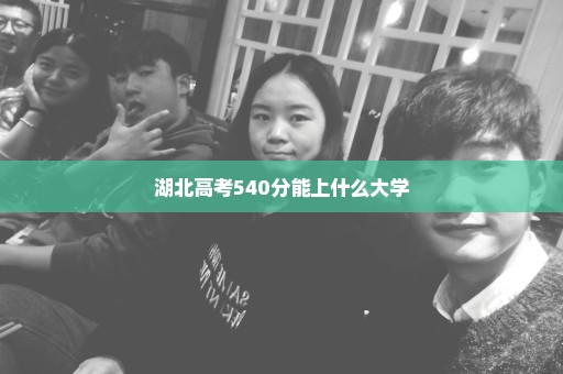 湖北高考540分能上什么大学