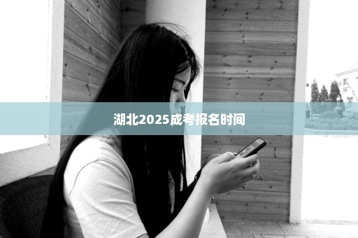 湖北2025成考报名时间