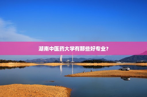 湖南中医药大学有那些好专业？