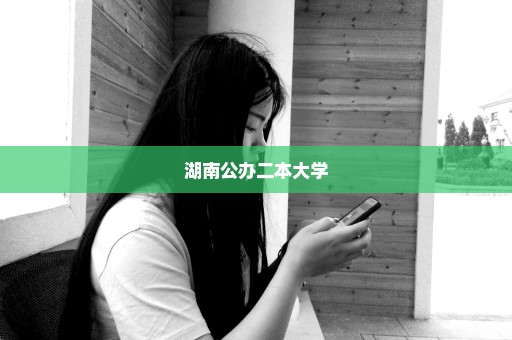 湖南公办二本大学