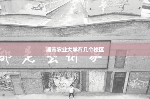 湖南农业大学有几个校区