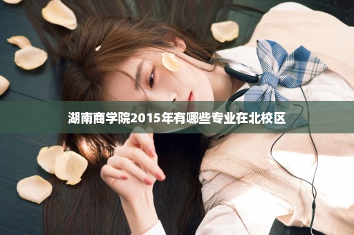 湖南商学院2015年有哪些专业在北校区