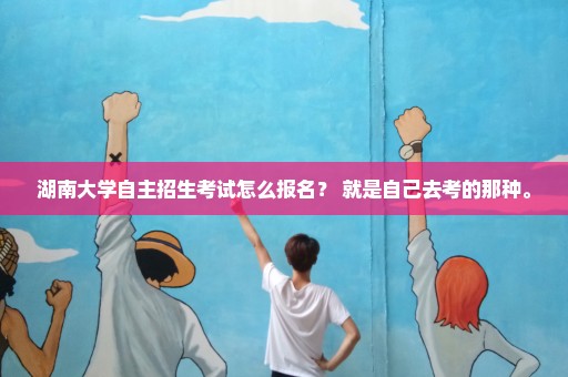 湖南大学自主招生考试怎么报名？ 就是自己去考的那种。