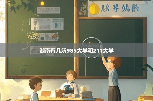 湖南有几所985大学和211大学