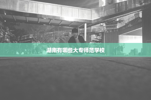 湖南有哪些大专师范学校