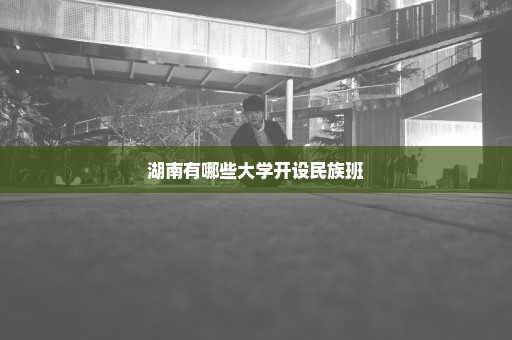 湖南有哪些大学开设民族班