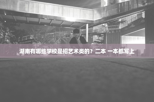 湖南有哪些学校是招艺术类的？二本 一本都写上