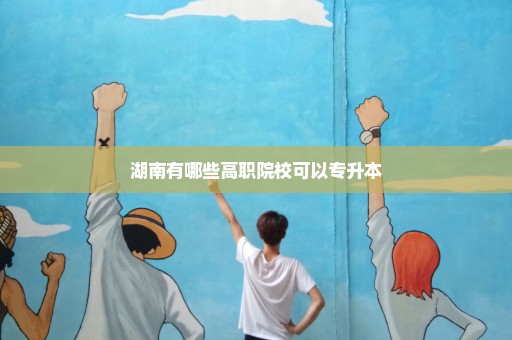 湖南有哪些高职院校可以专升本